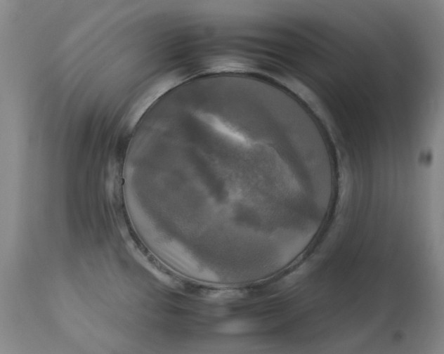 X0000113221337200910011335