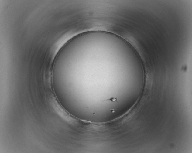 X0000113221340200910011335