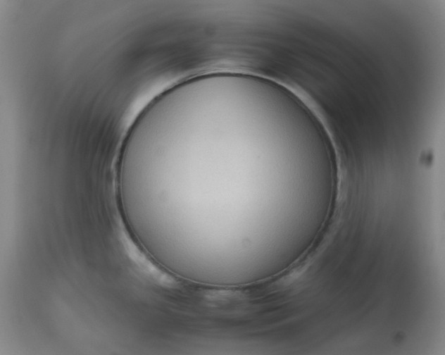 X0000113221341200910011335