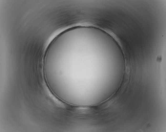 X0000113221343200910011335