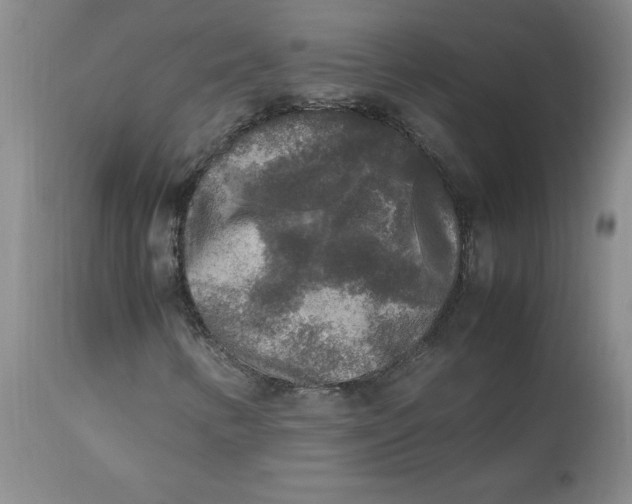 X0000113221346200910011335