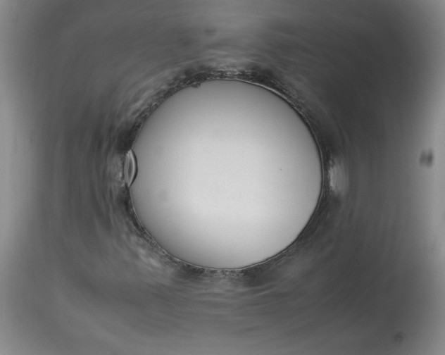 X0000113221347200910011335