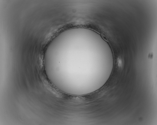 X0000113221348200910011335