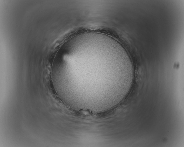 X0000113221349200910011335