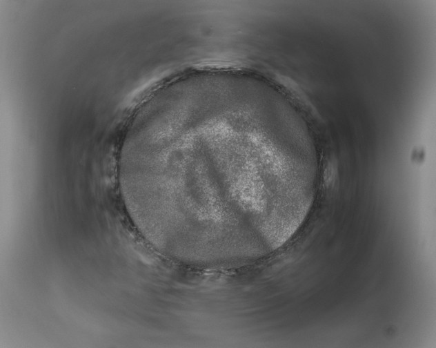 X0000113221350200910011335