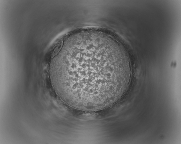 X0000113221351200910011335