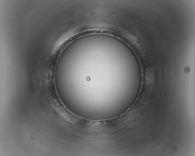 X0000113221352200910011335