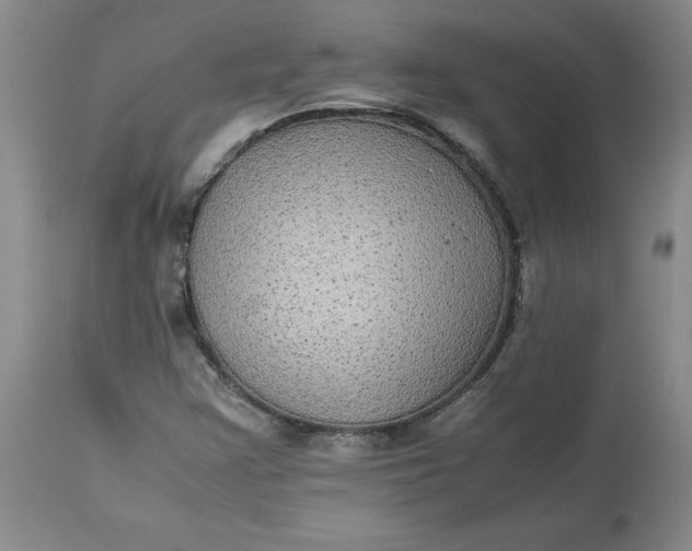 X0000113221355200910011335