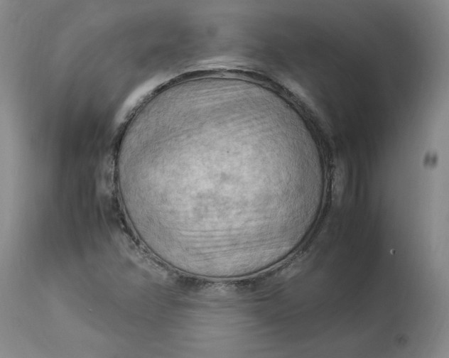 X0000113221358200910011335