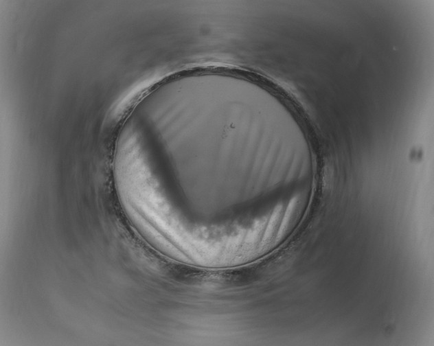 X0000113221359200910011335