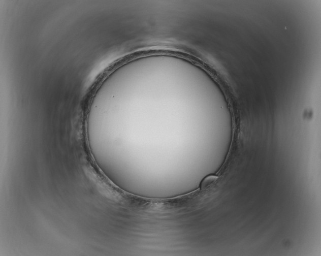 X0000113221360200910011334