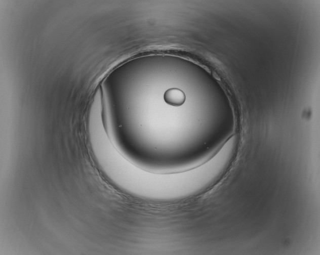 X0000113221361200910011334