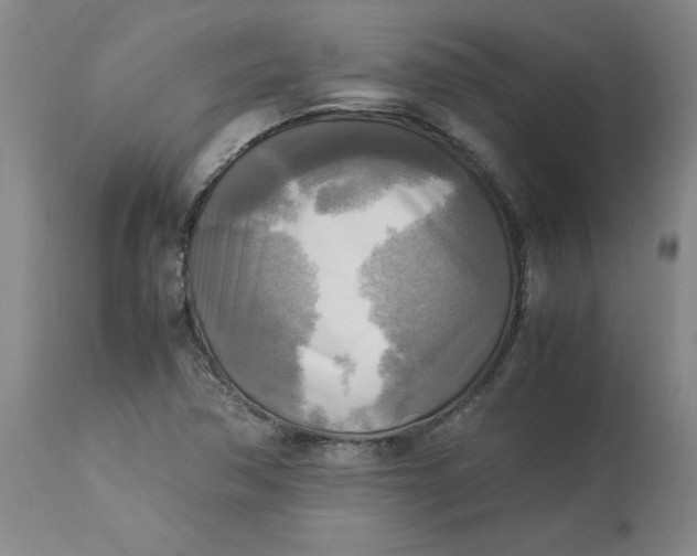 X0000113221362200910011334