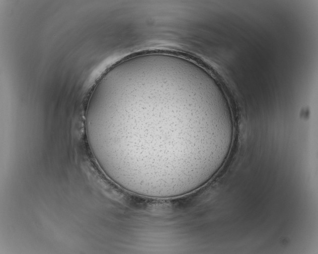 X0000113221363200910011334