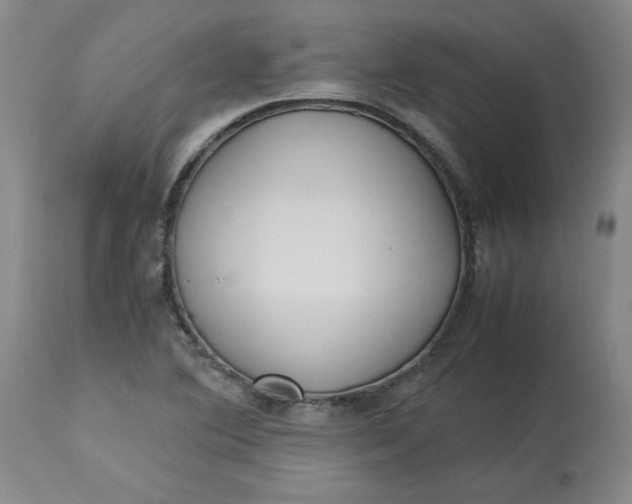 X0000113221364200910011334