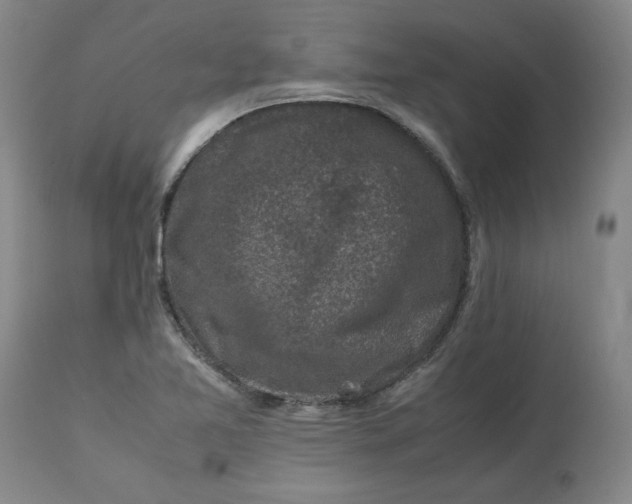 X0000113221365200910011334