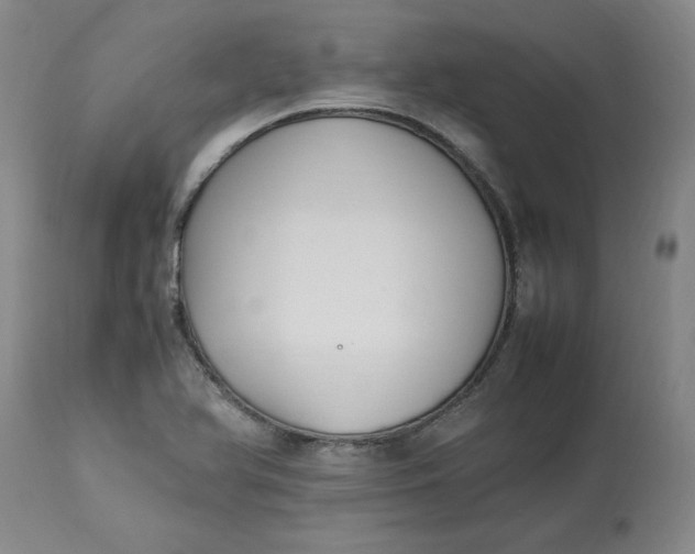 X0000113221366200910011334