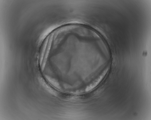 X0000113221367200910011334