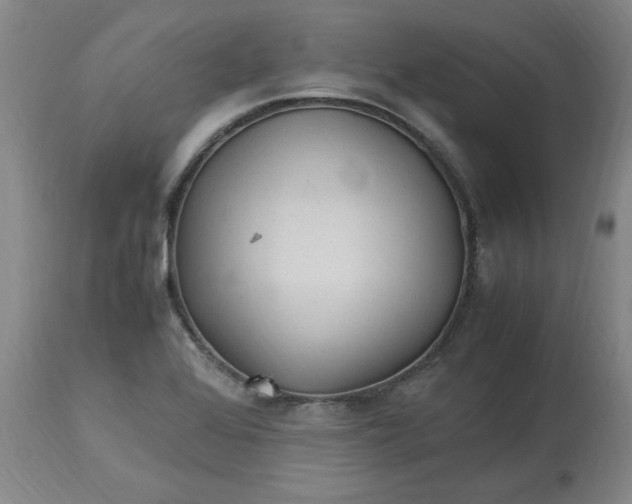 X0000113221368200910011334