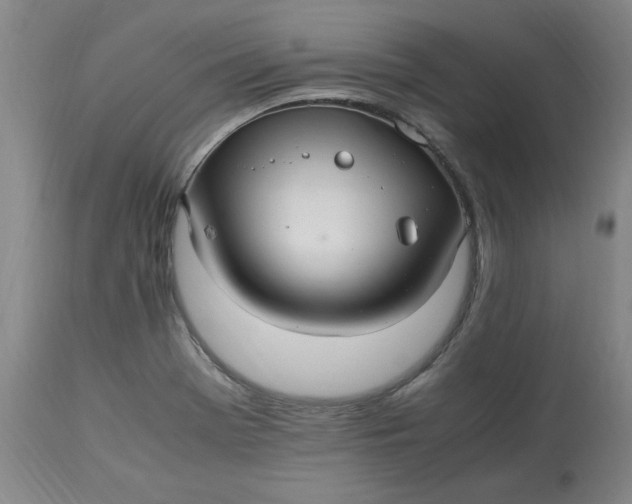 X0000113221369200910011334