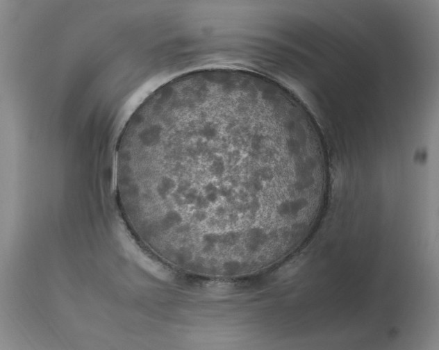 X0000113221371200910011334