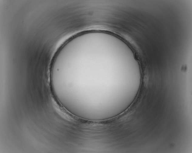 X0000113221372200910011334