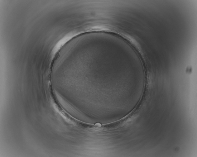 X0000113221373200910011334