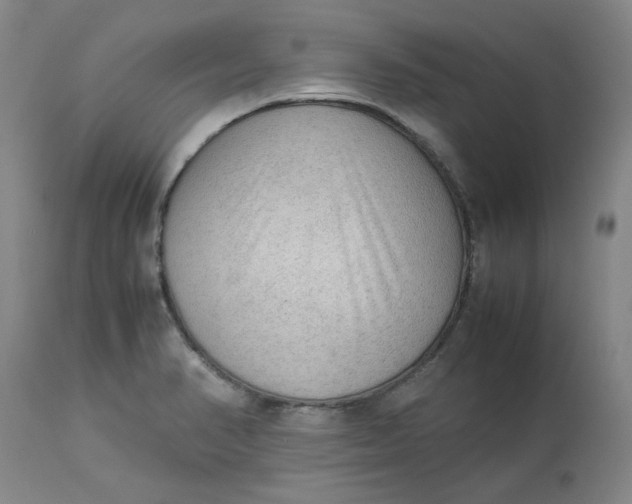 X0000113221374200910011334