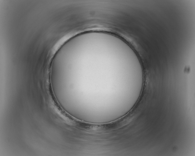 X0000113221375200910011334