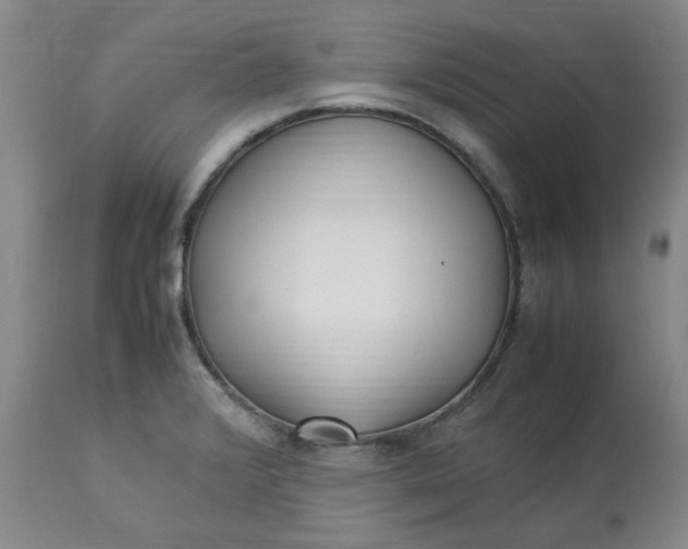 X0000113221376200910011334