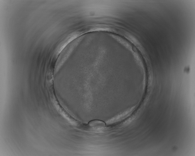 X0000113221377200910011334