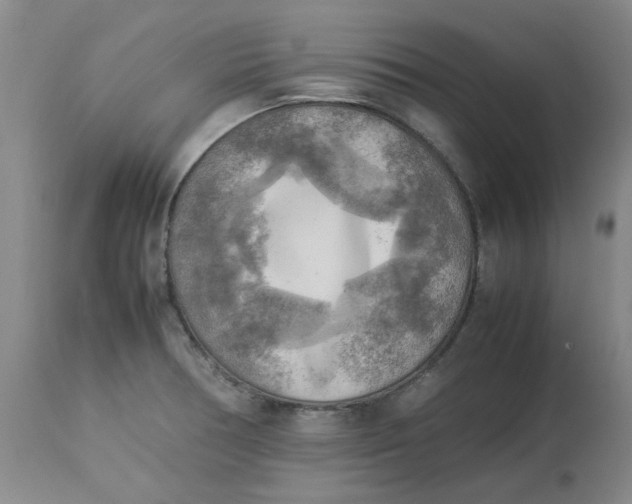 X0000113221378200910011334