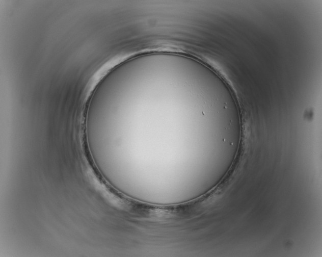 X0000113221379200910011334