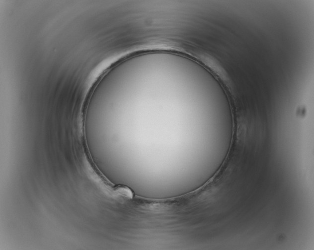 X0000113221380200910011334