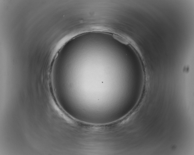 X0000113221381200910011334