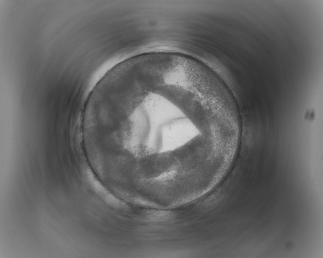 X0000113221382200910011334