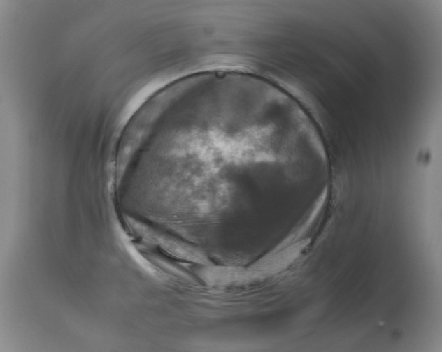 X0000113221383200910011334