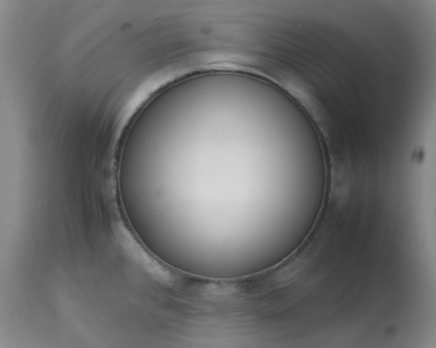 X0000113221384200910011334