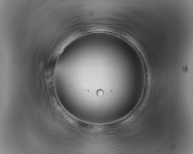 X0000113221385200910011334