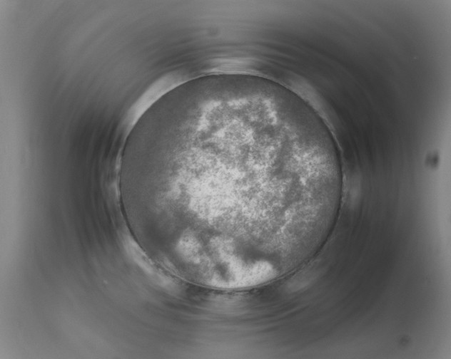 X0000113221386200910011334