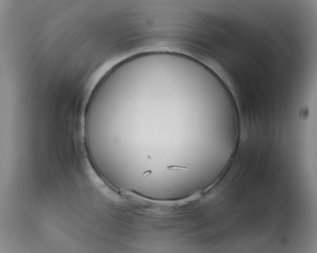 X0000113221388200910011334