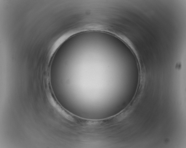 X0000113221389200910011334