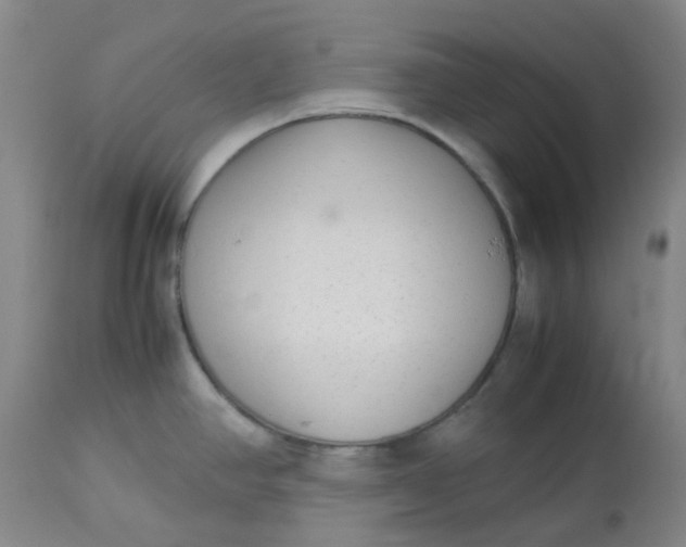 X0000113221390200910011334