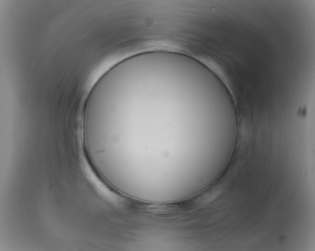 X0000113221391200910011334