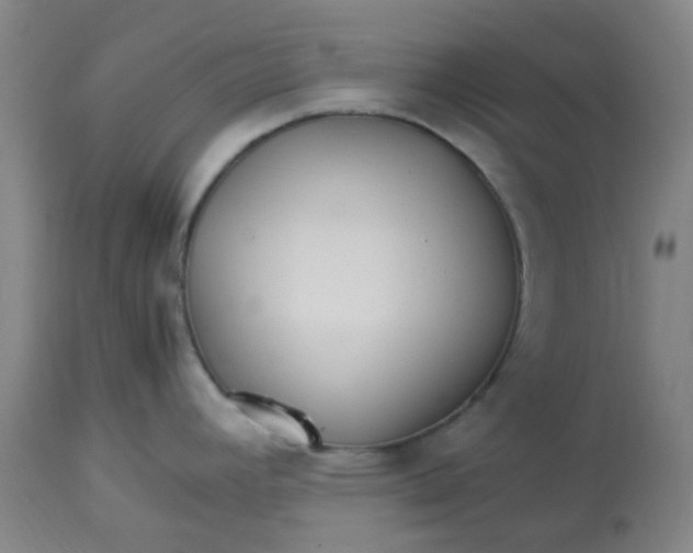 X0000113221392200910011334