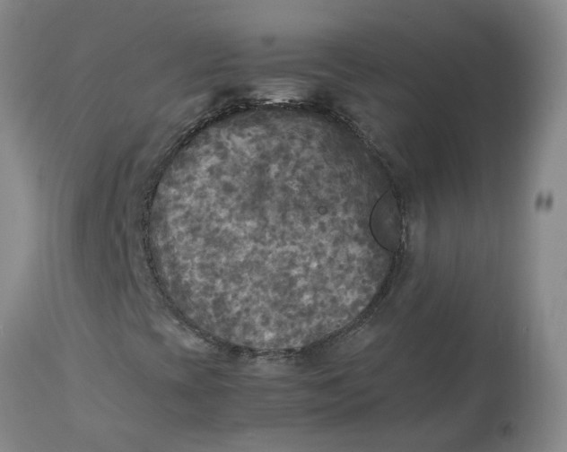 X0000113221393200910011333