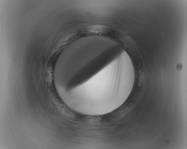 X0000113221394200910011333