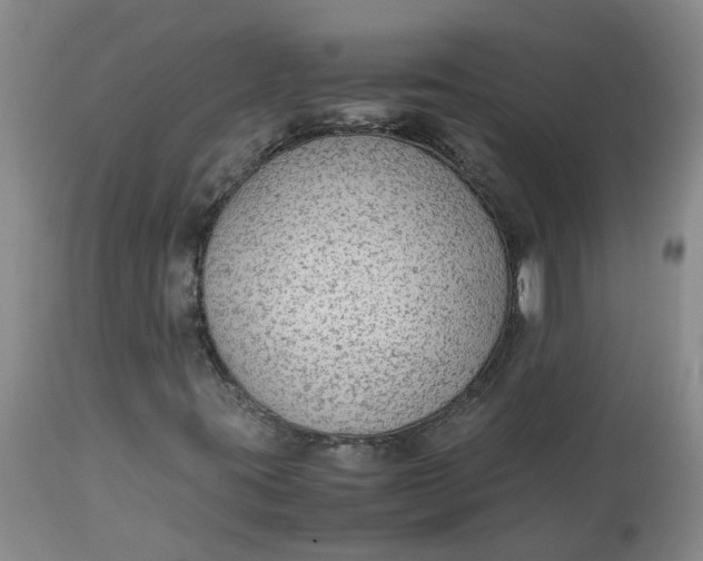 X0000113221395200910011333