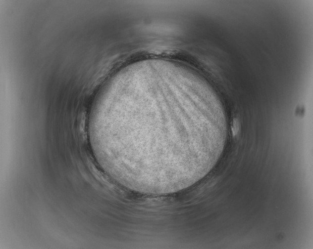 X0000113221396200910011333