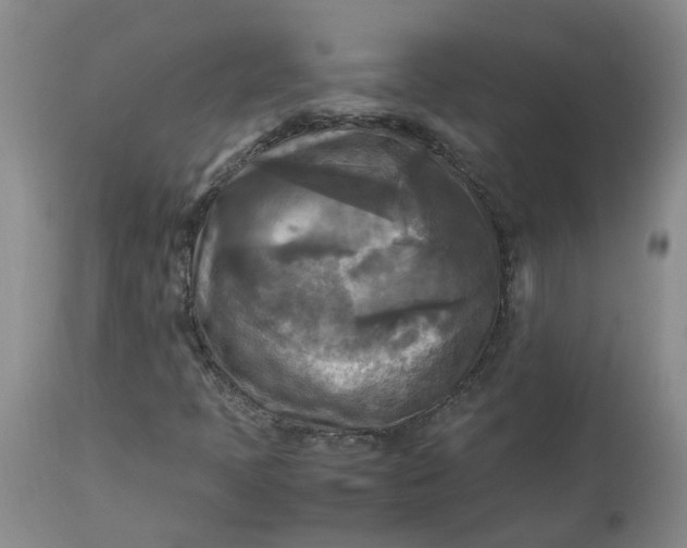 X0000113221397200910011333